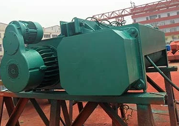 電動(dòng)葫蘆行車(chē)在污水提升泵房中的應(yīng)用